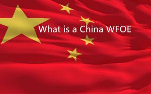 ما هو WFOE في الصين ولماذا تحصل على مساعدة محلية لجعل الأمور أسهل؟